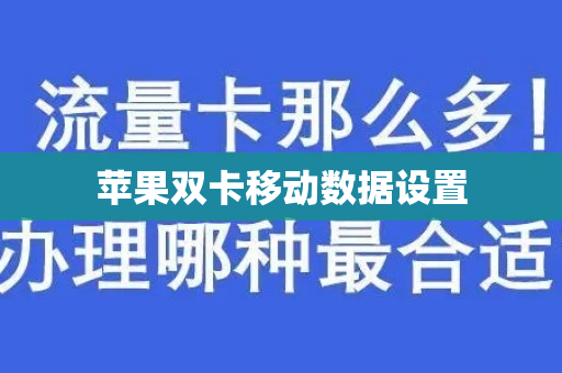 苹果双卡移动数据设置