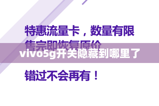 vivo5g开关隐藏到哪里了