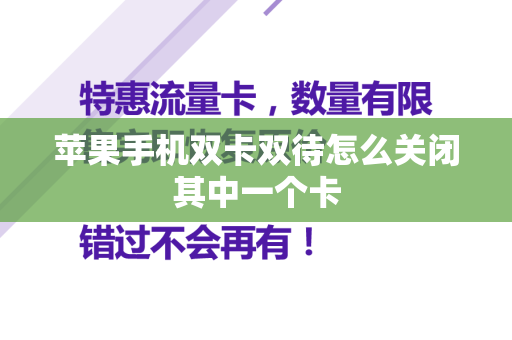 苹果手机双卡双待怎么关闭其中一个卡