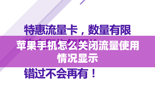 苹果手机怎么关闭流量使用情况显示