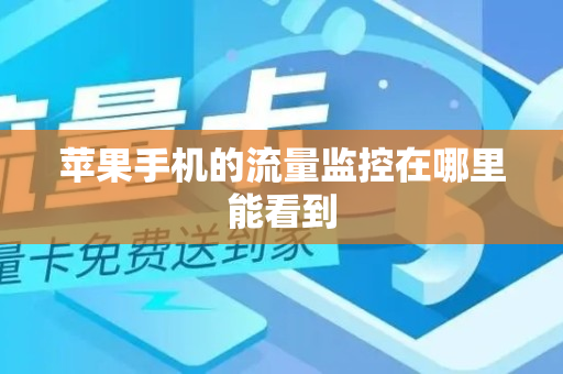 苹果手机的流量监控在哪里能看到