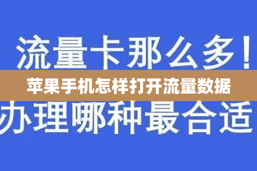 苹果手机怎样打开流量数据