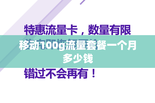 移动100g流量套餐一个月多少钱