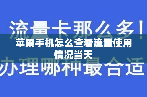 苹果手机怎么查看流量使用情况当天