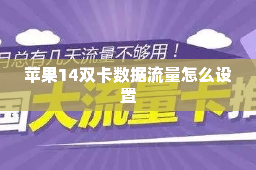 苹果14双卡数据流量怎么设置