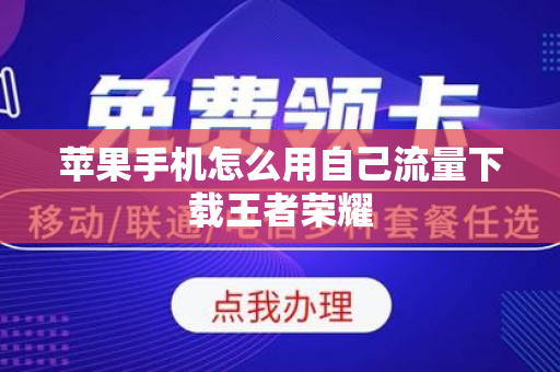 苹果手机怎么用自己流量下载王者荣耀