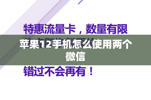 苹果12手机怎么使用两个微信