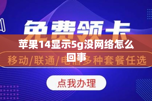 苹果14显示5g没网络怎么回事