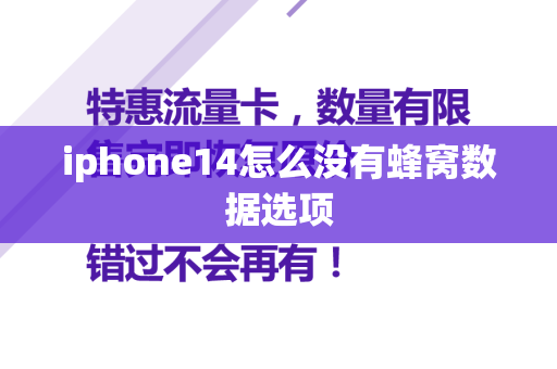 iphone14怎么没有蜂窝数据选项