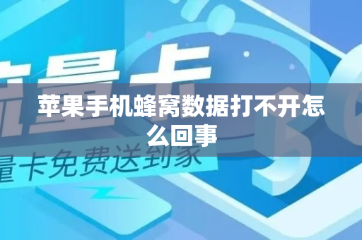 苹果手机蜂窝数据打不开怎么回事