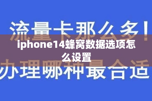 iphone14蜂窝数据选项怎么设置