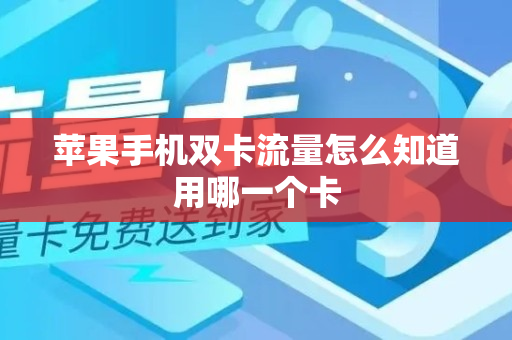 苹果手机双卡流量怎么知道用哪一个卡