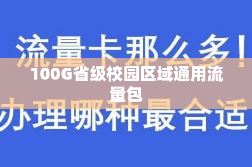 100G省级校园区域通用流量包