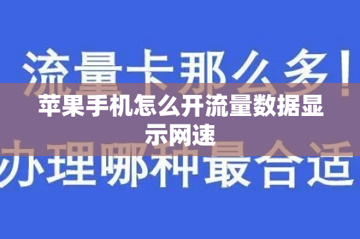 苹果手机怎么开流量数据显示网速