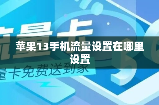 苹果13手机流量设置在哪里设置