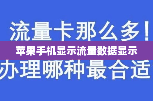 苹果手机显示流量数据显示