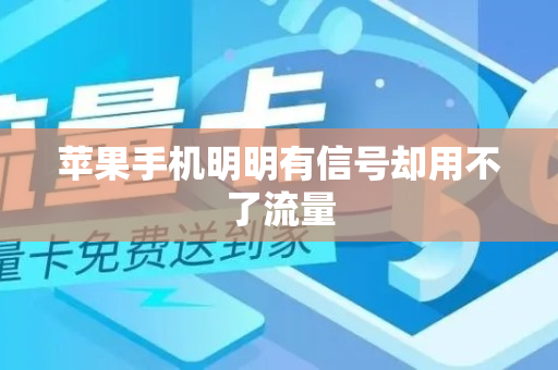 苹果手机明明有信号却用不了流量