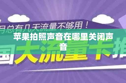 苹果拍照声音在哪里关闭声音