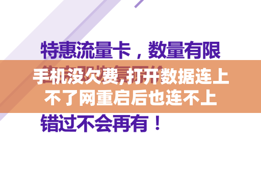 手机没欠费,打开数据连上不了网重启后也连不上