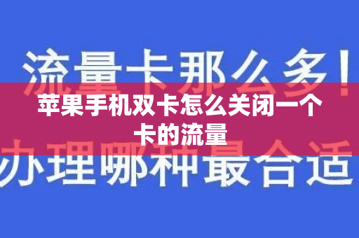 苹果手机双卡怎么关闭一个卡的流量