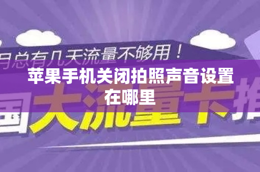 苹果手机关闭拍照声音设置在哪里