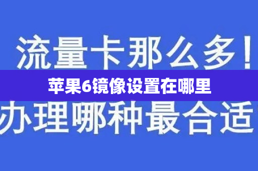 苹果6镜像设置在哪里