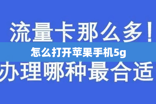 怎么打开苹果手机5g