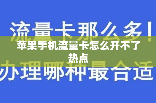 苹果手机流量卡怎么开不了热点