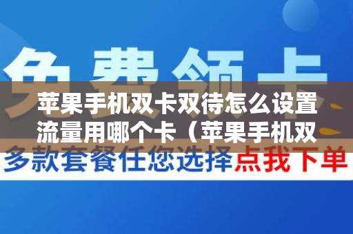 苹果手机双卡双待怎么设置流量用哪个卡（苹果手机双卡怎么设置用哪个卡的流量）