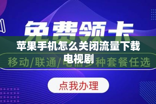 苹果手机怎么关闭流量下载电视剧