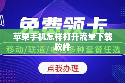 苹果手机怎样打开流量下载软件