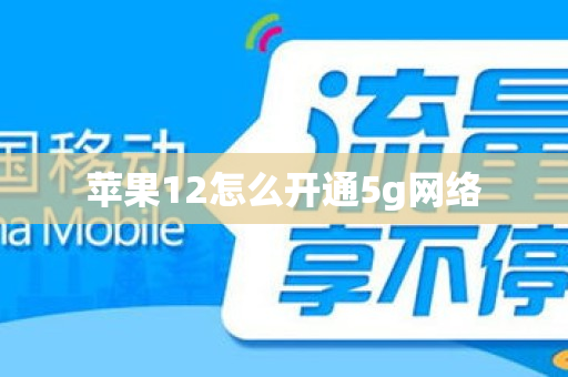 苹果12怎么开通5g网络