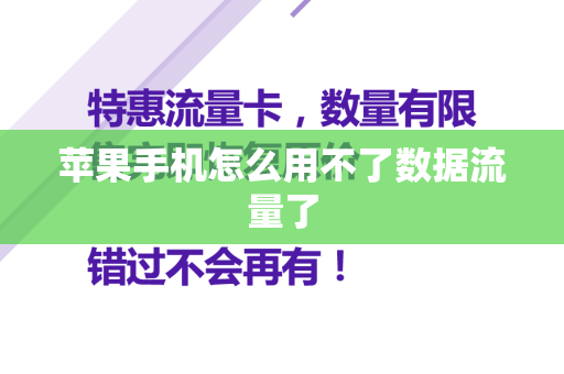 苹果手机怎么用不了数据流量了