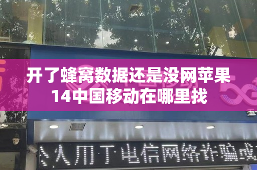 开了蜂窝数据还是没网苹果14中国移动在哪里找