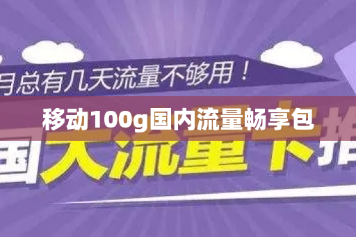 移动100g国内流量畅享包