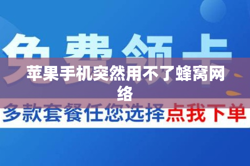 苹果手机突然用不了蜂窝网络