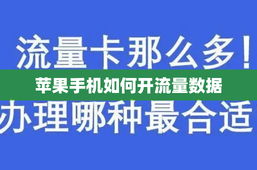 苹果手机如何开流量数据