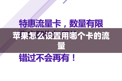 苹果怎么设置用哪个卡的流量