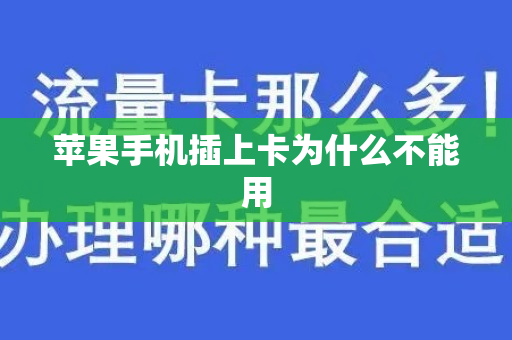 苹果手机插上卡为什么不能用