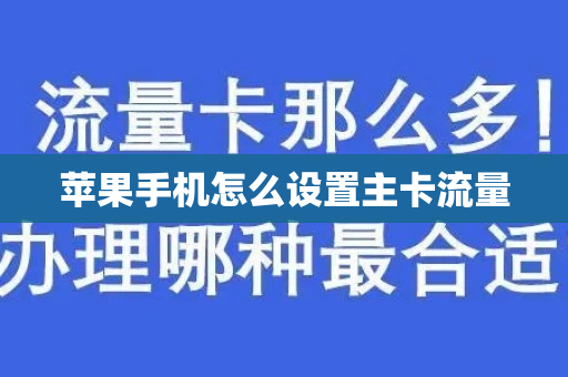 苹果手机怎么设置主卡流量