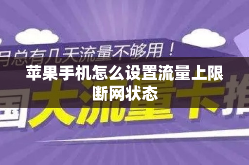 苹果手机怎么设置流量上限断网状态