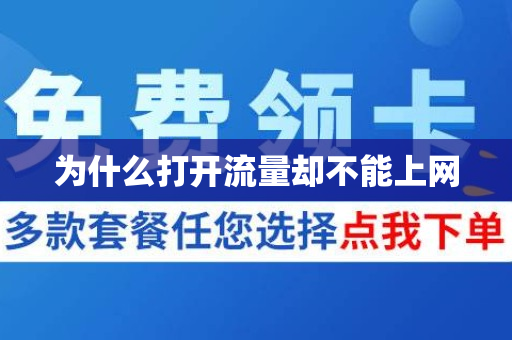 为什么打开流量却不能上网