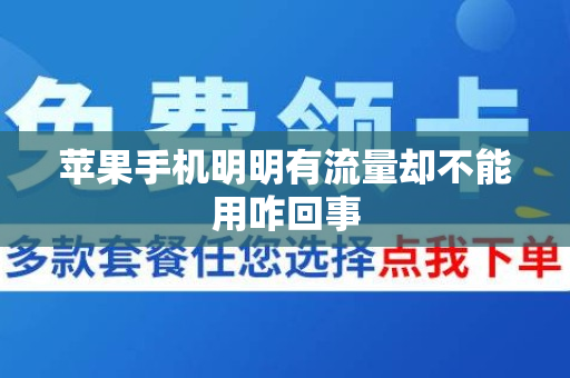 苹果手机明明有流量却不能用咋回事