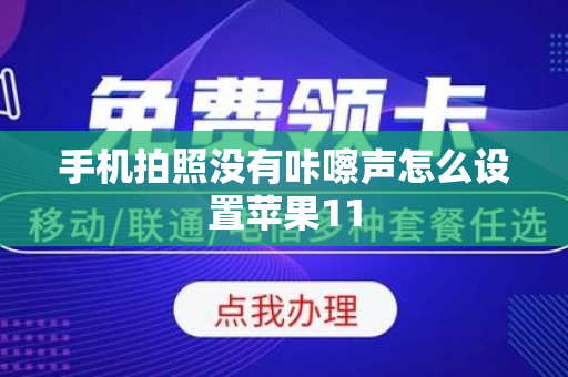 手机拍照没有咔嚓声怎么设置苹果11