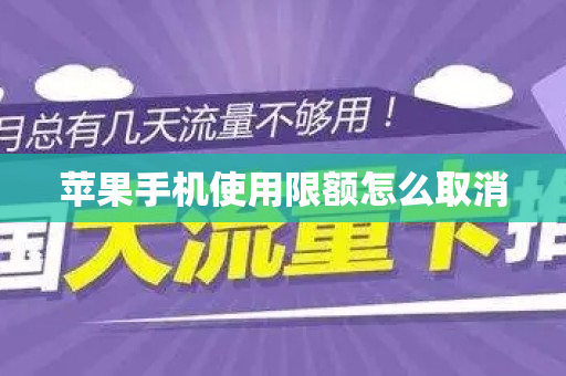 苹果手机使用限额怎么取消