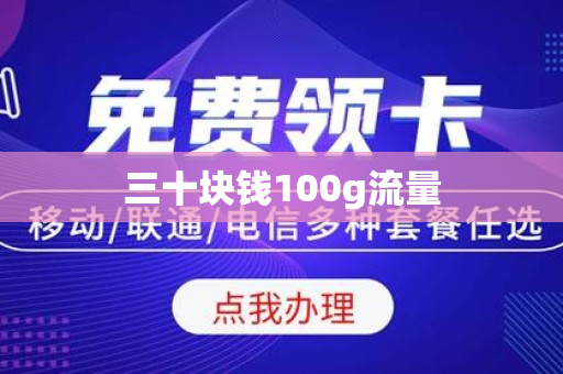 三十块钱100g流量