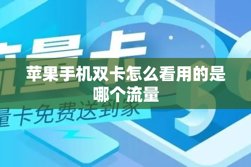 苹果手机双卡怎么看用的是哪个流量