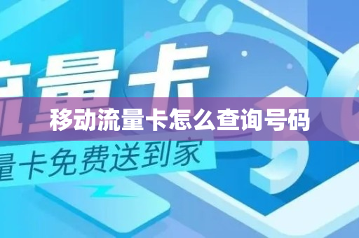 移动流量卡怎么查询号码