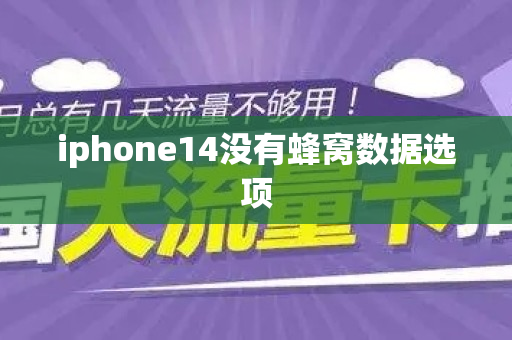 iphone14没有蜂窝数据选项