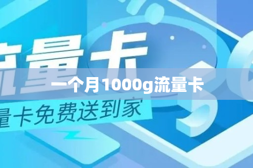 一个月1000g流量卡